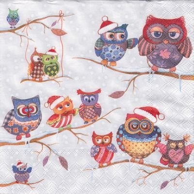 Owls in Winterland (S)